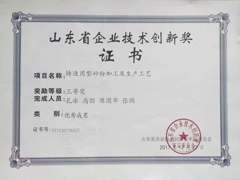 山東省企業(yè)技術(shù)創(chuàng)新獎(jiǎng)